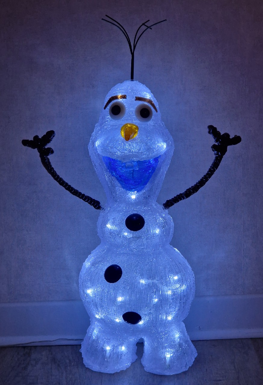 2877 Ambrée Pic Du Midi, France