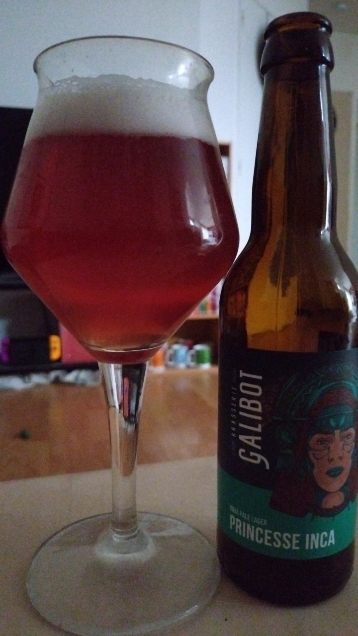 Princesse Inca, Tom & Charly (Bit'Chum)