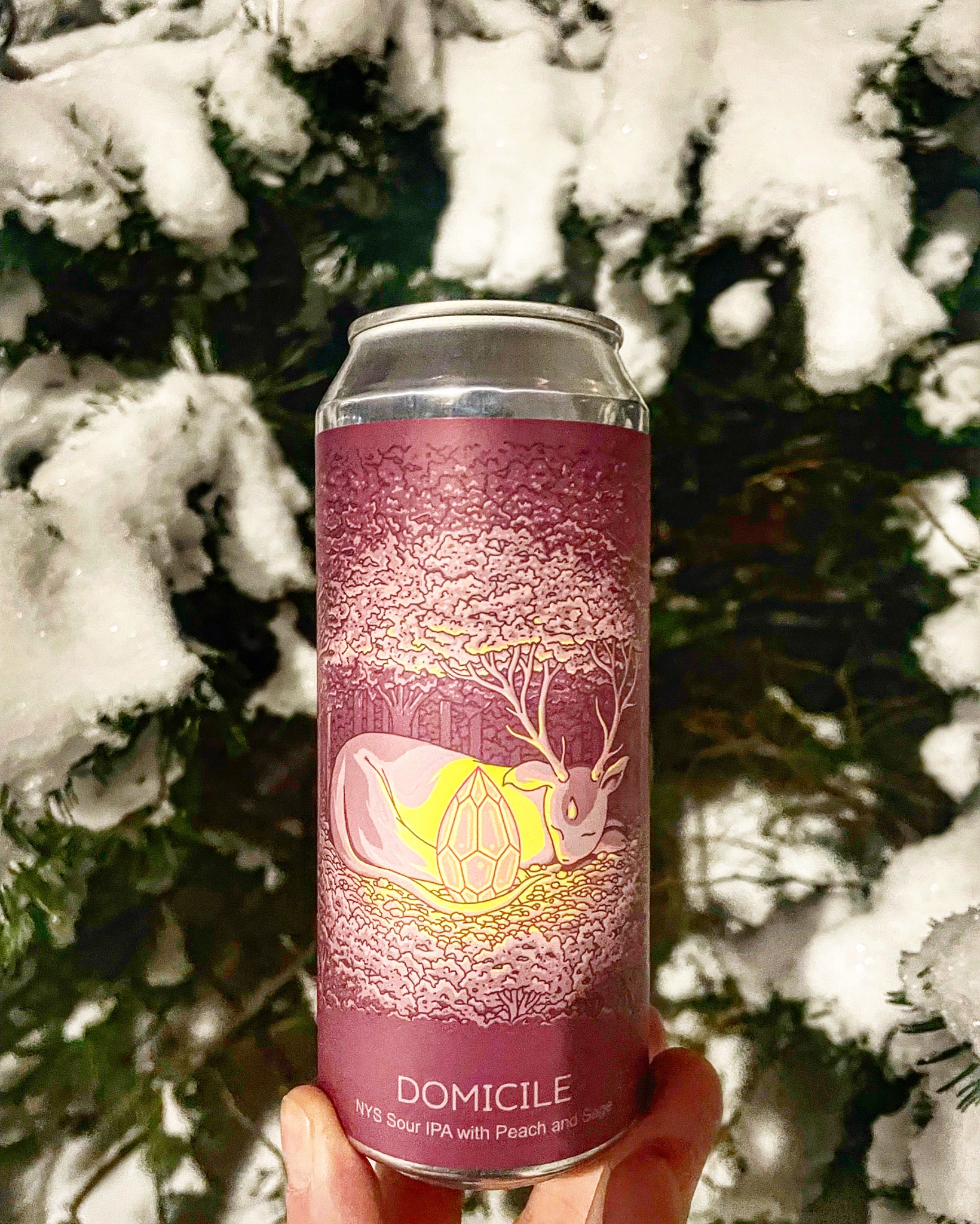 Amorphia, United States