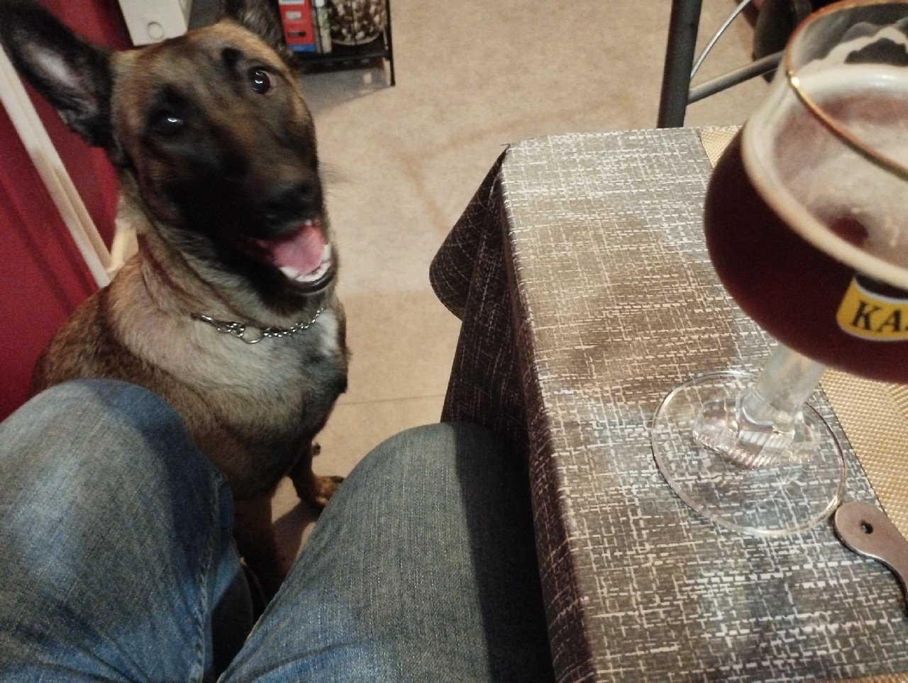 Vive Le Vent, France