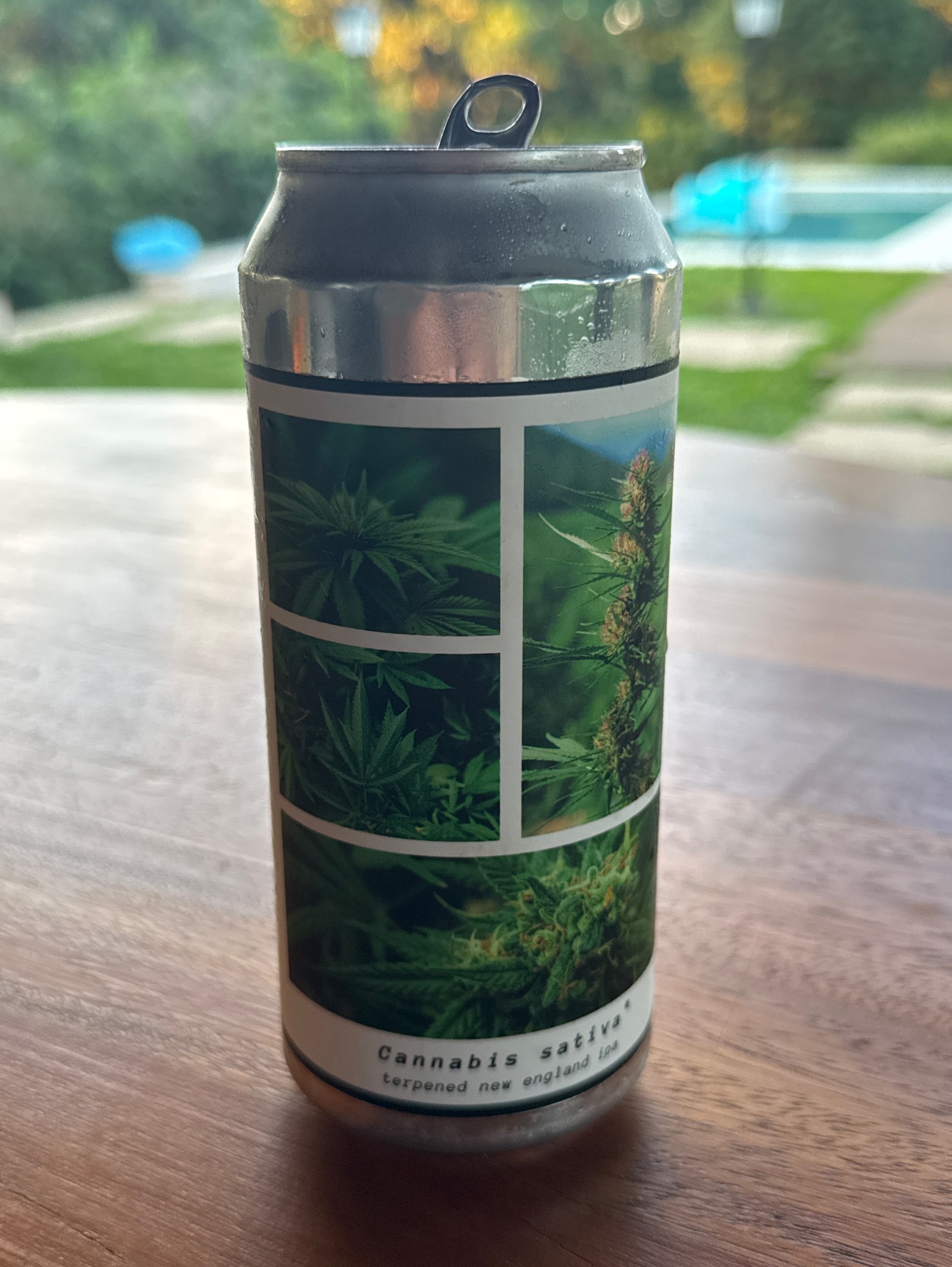 Canabis Sativa, Greenhouse Brewery