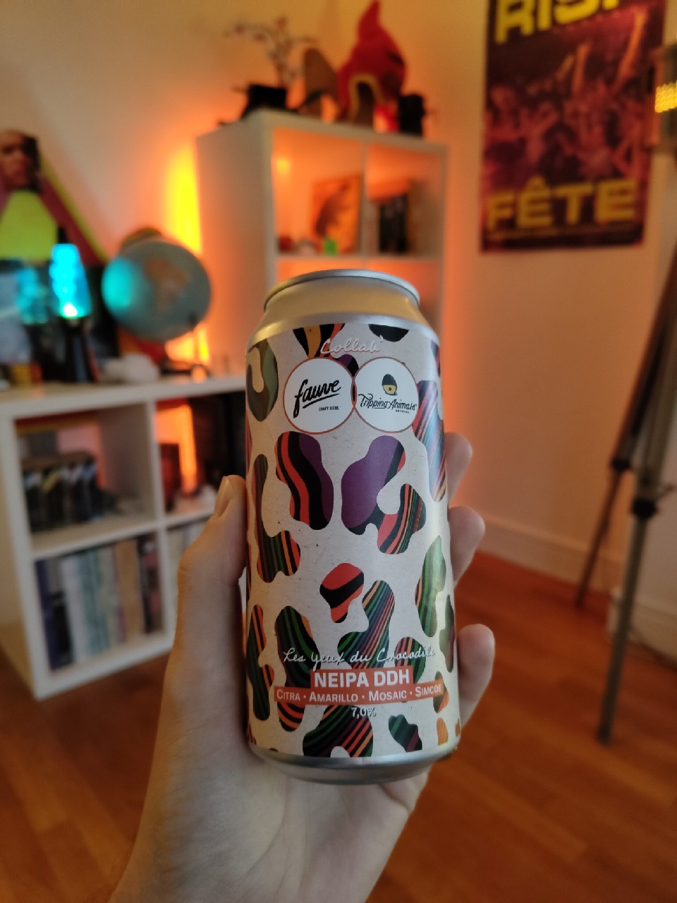 Les Yeux Du Crocodile, France