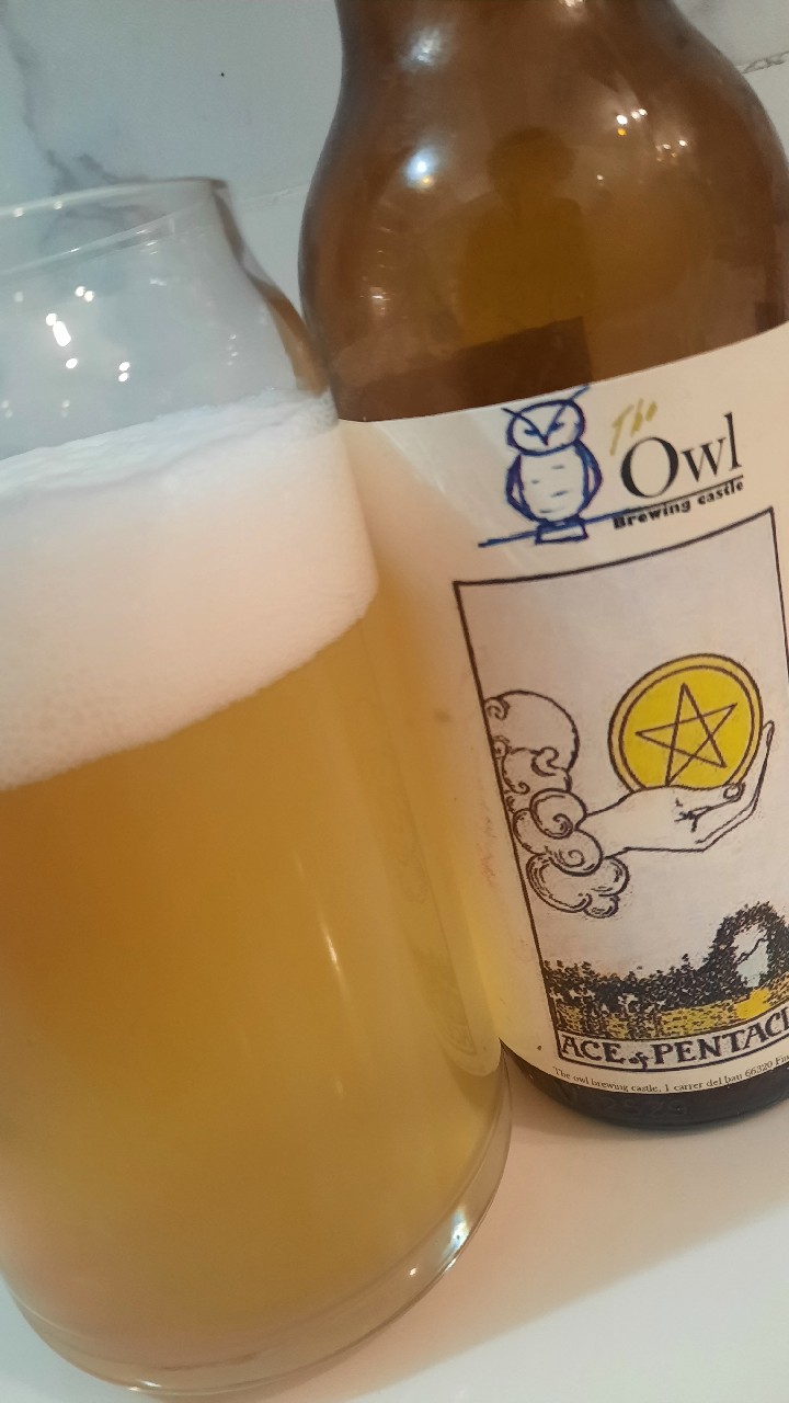 Ace Of Pentacles, The Owl Brewing Castle