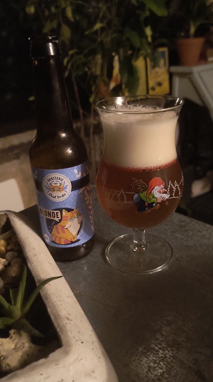 Chat Dodu Blonde, France