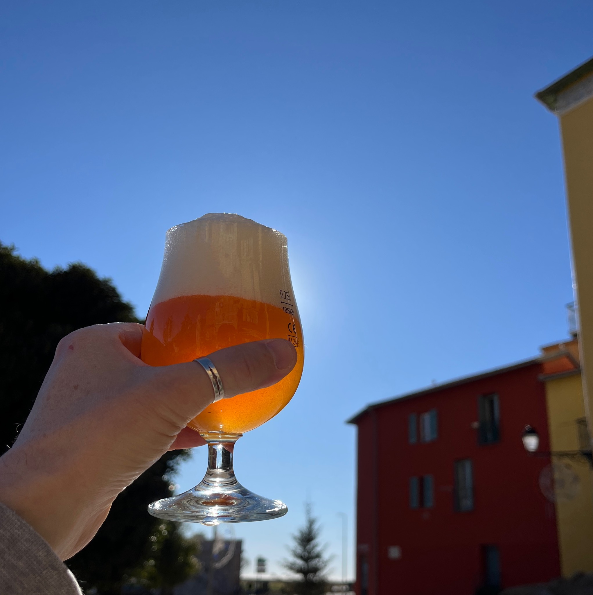 Blue Coast IPA, France