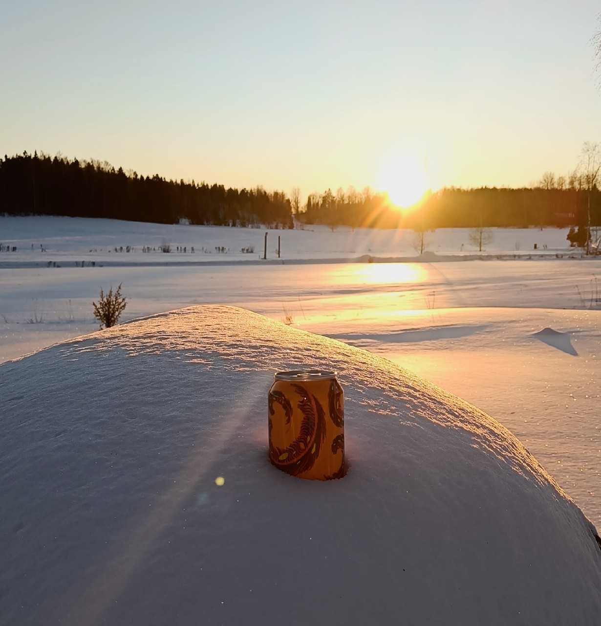 Bianca Non-Alcoholic Blueberry Maple Pancake Lassi Gose, Sweden