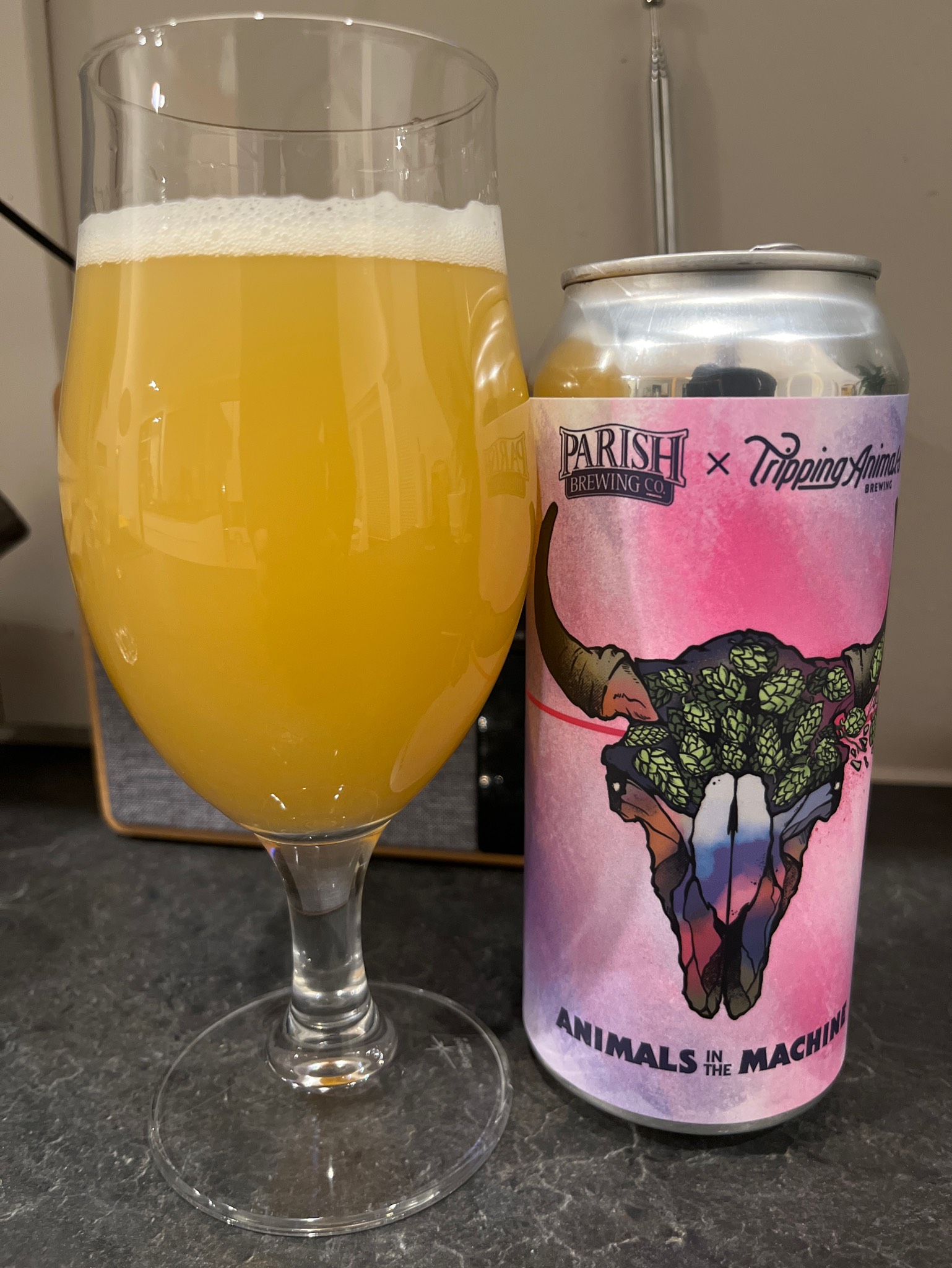 Animals in the Machine, United States