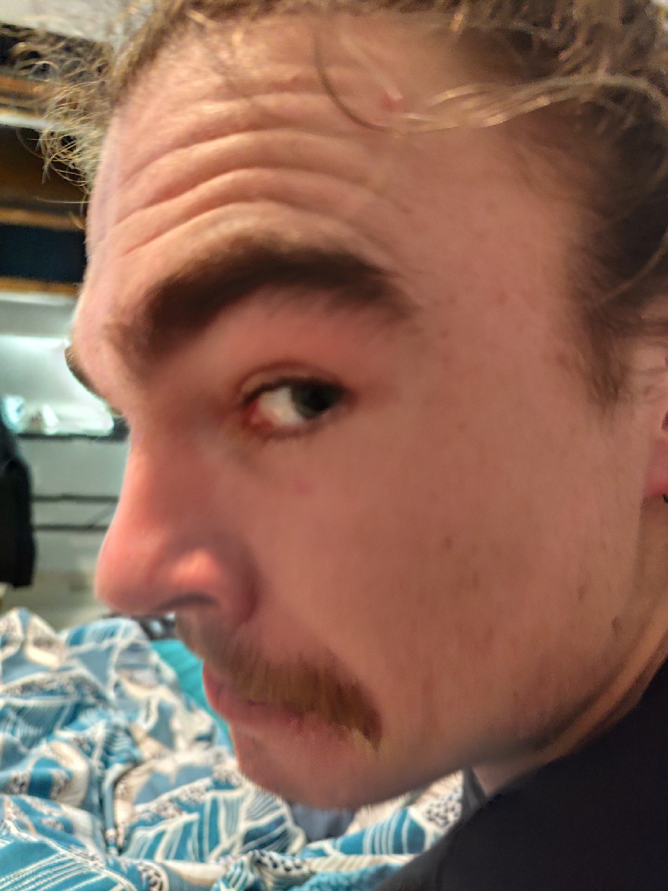 La Morgat Blonde, France