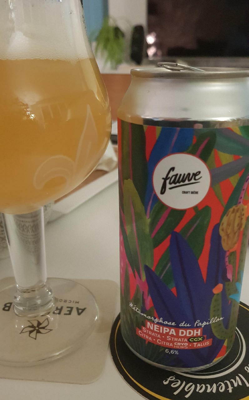 Métamorphose Du Papillon, France