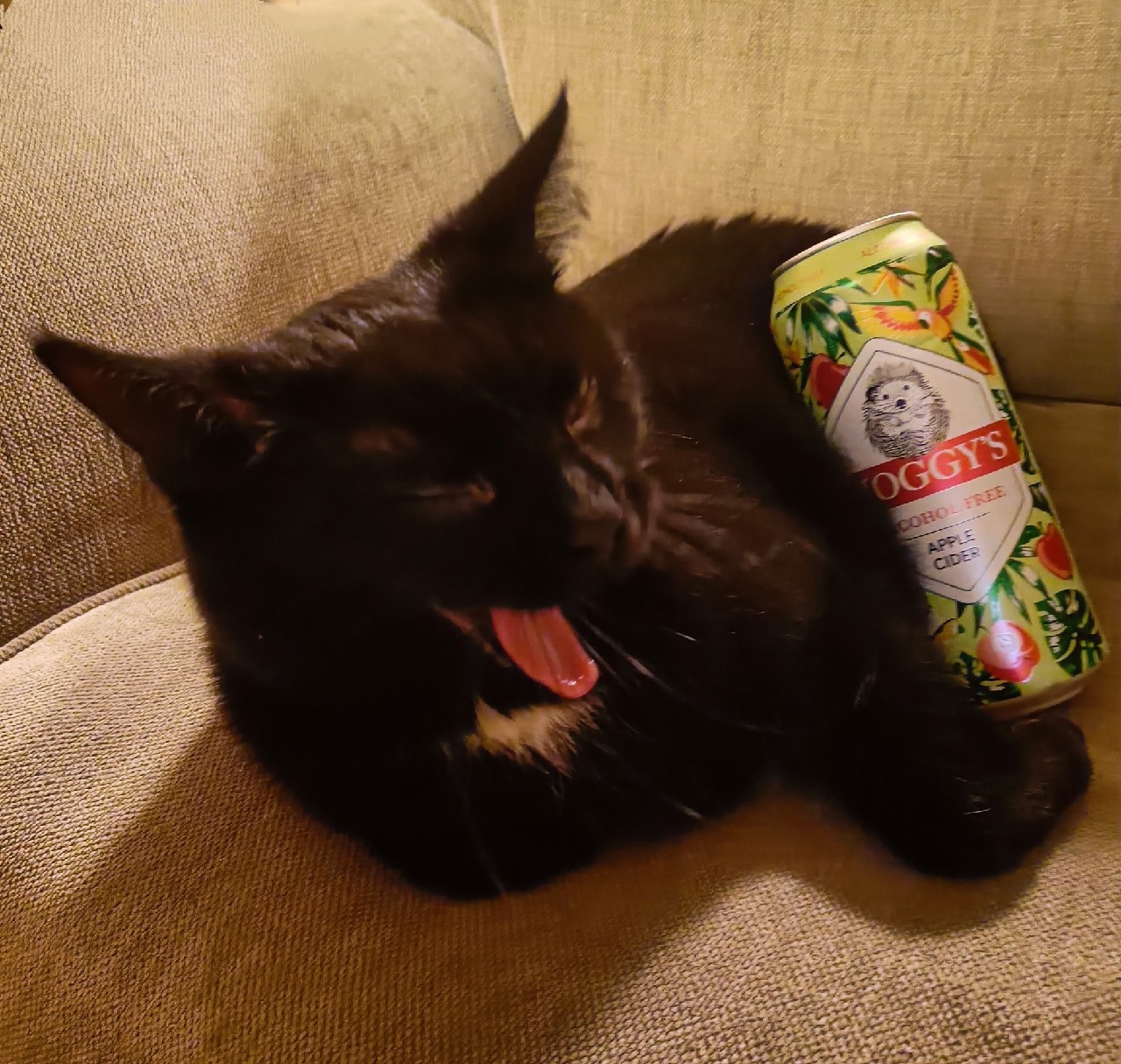 Hoggy's Alcohol Free / Non-Alcoholic Apple Cider, Estonia