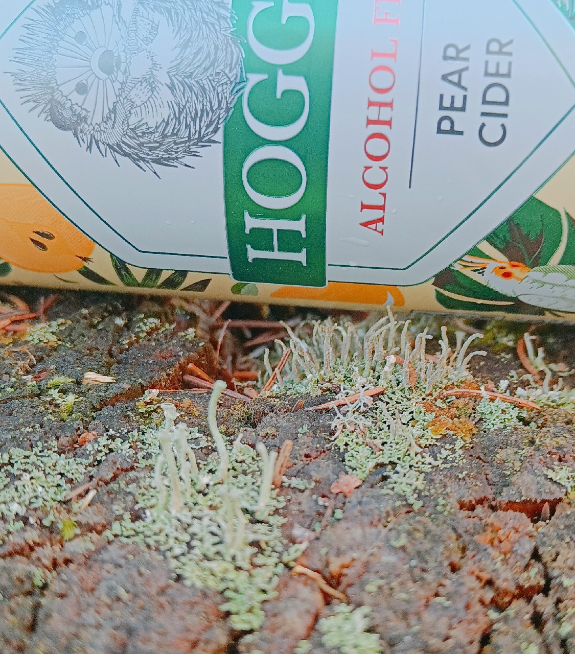 Hoggy's Alcohol Free Pear Cider, Estonia