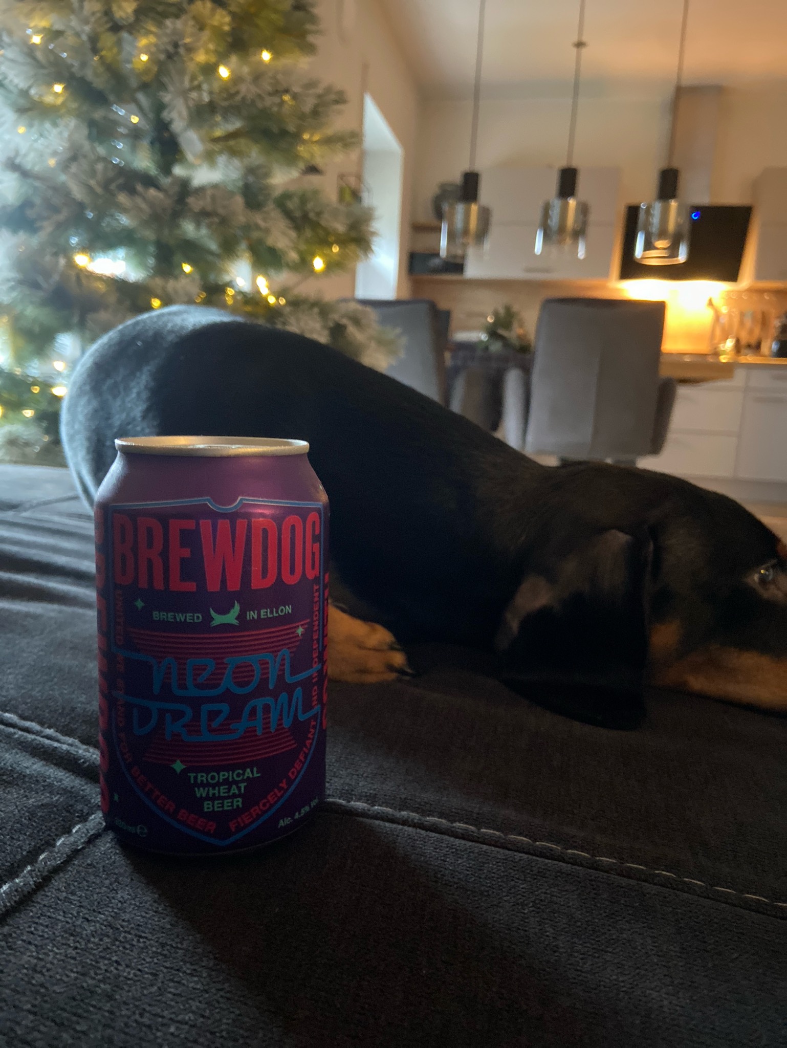 Neon Dream, Scotland