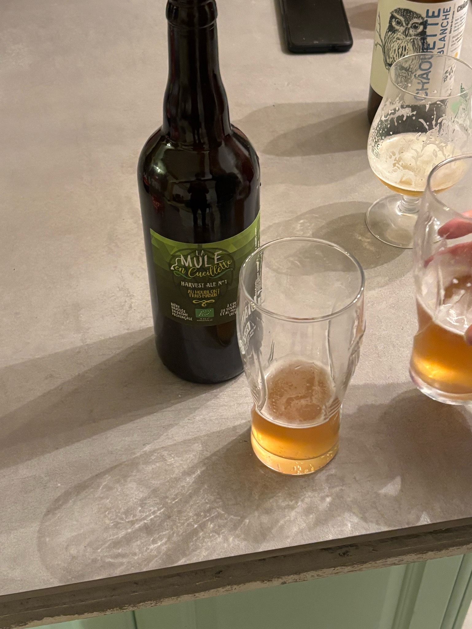 La Mule En Cueillette Harvest Ale N°1, La Vieille Mule