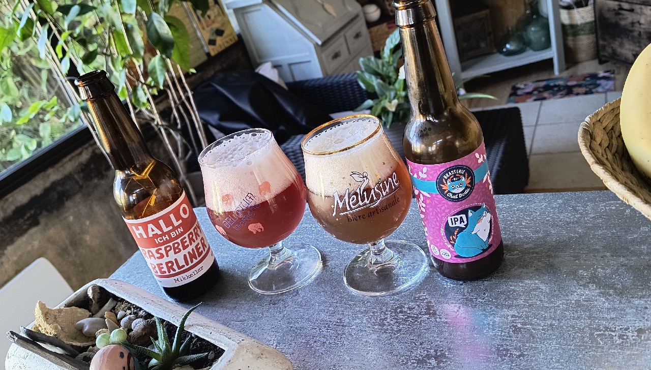 Chat Dodu IPA, France