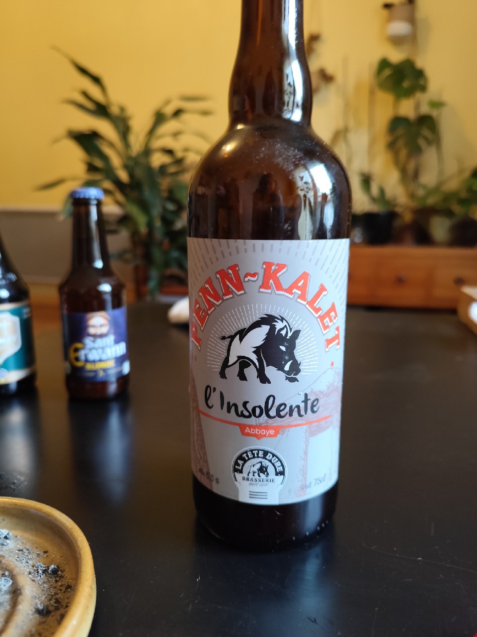 Penn-Kalet L'Insolente, France