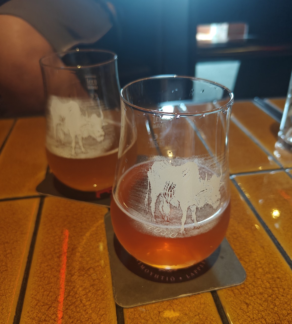 Rhubarbaari, Finland