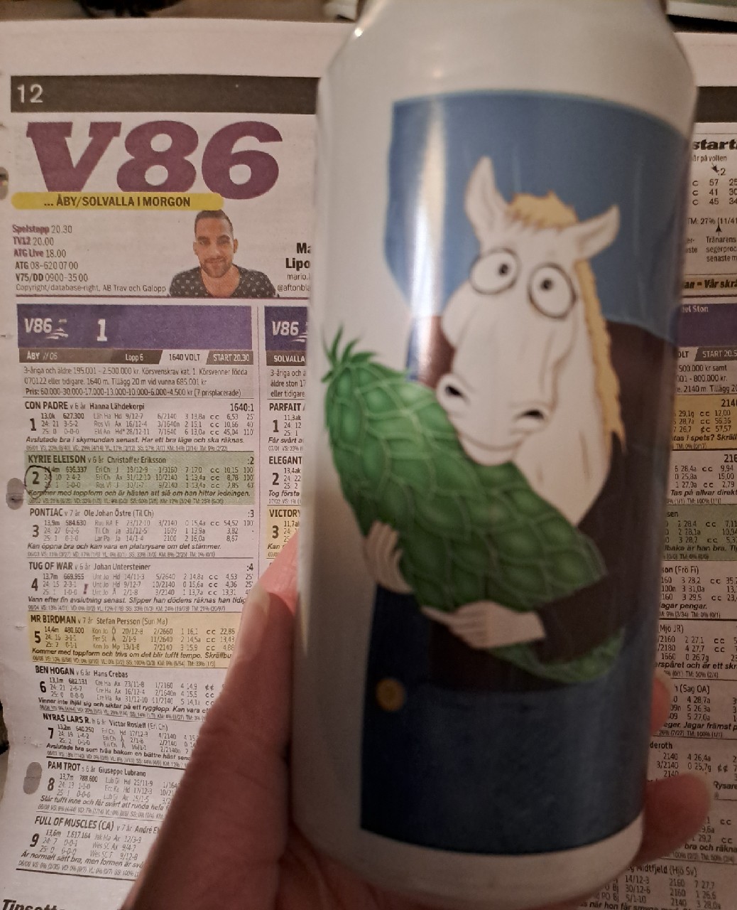 Pocket Horse, Sweden