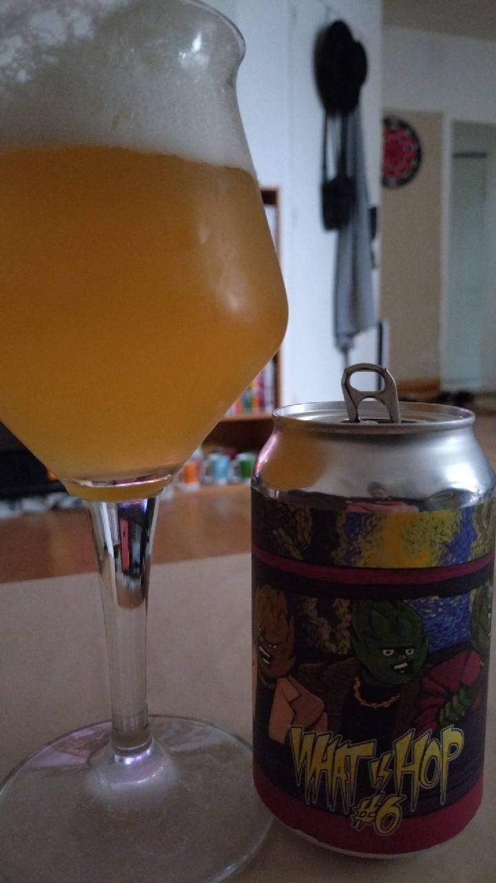 What Is Hop #6, France