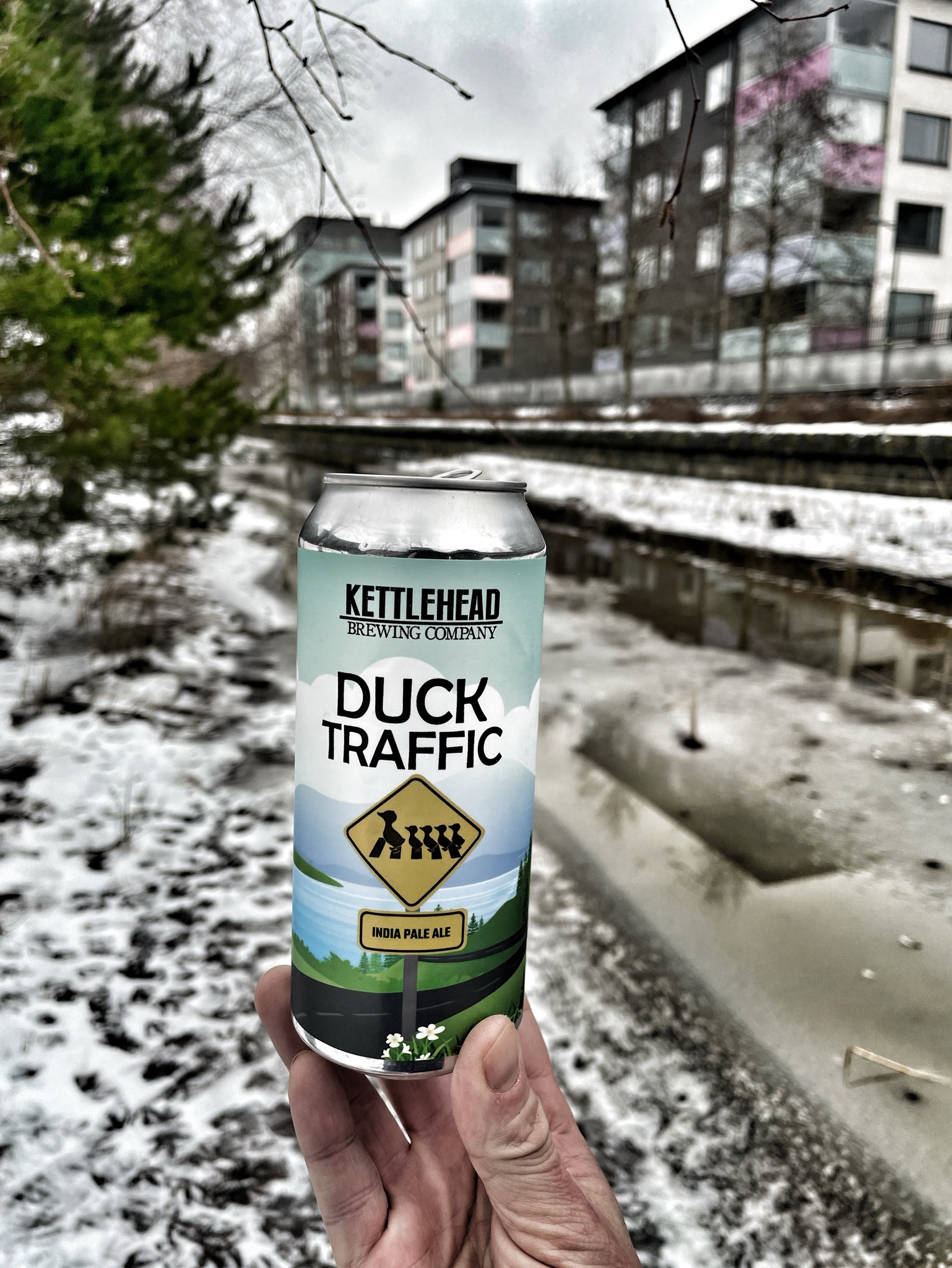 duck traffic, Kettlehead Brewing Company