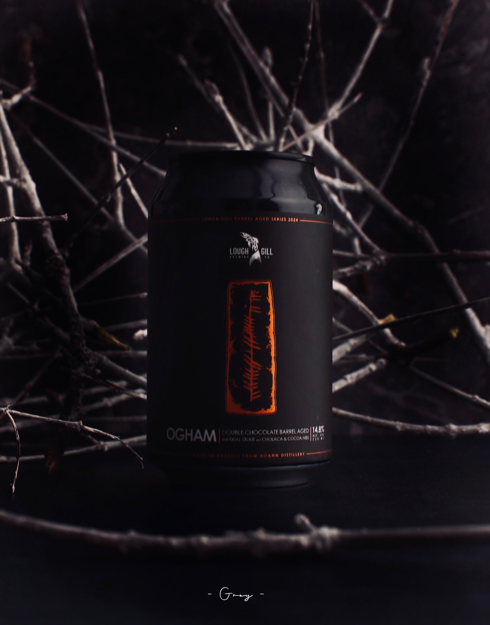 Ogham (2024), Ireland