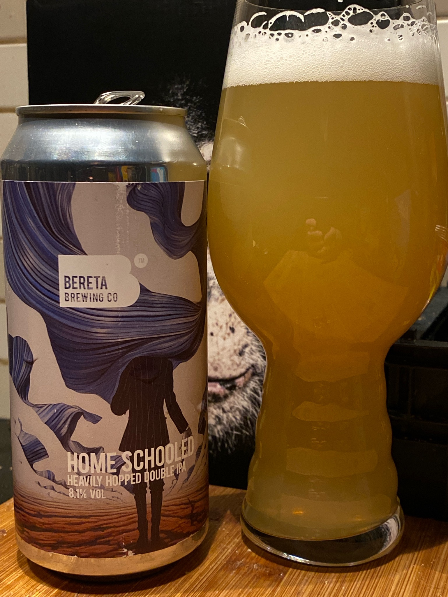 Home Schooled, Romania