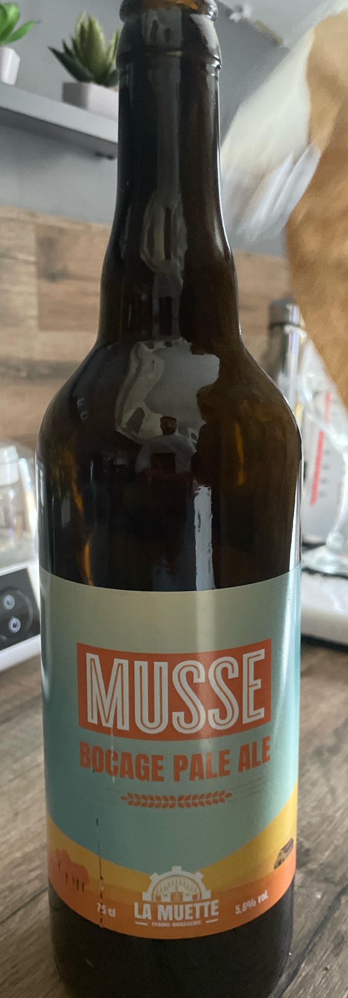 La Musse Bocage Pale Ale, France