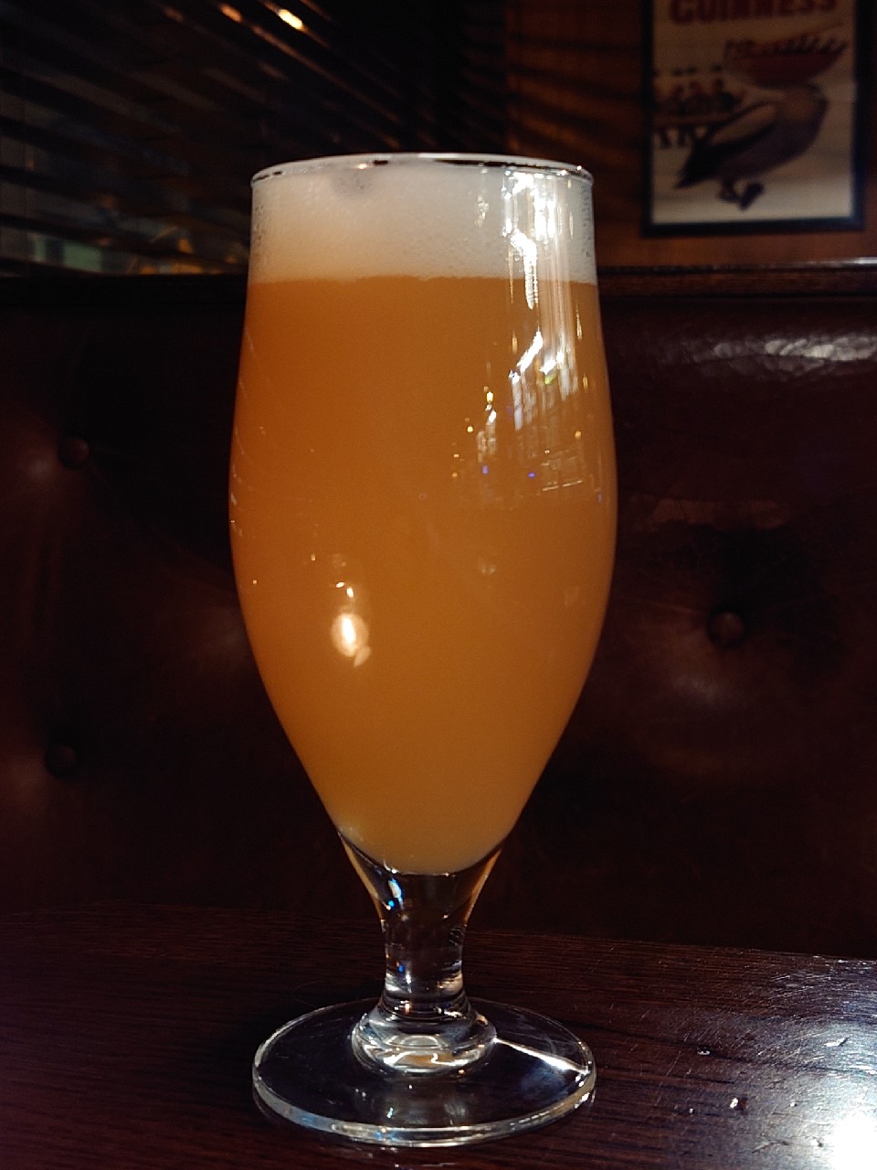 Temporalis #0025, Canada