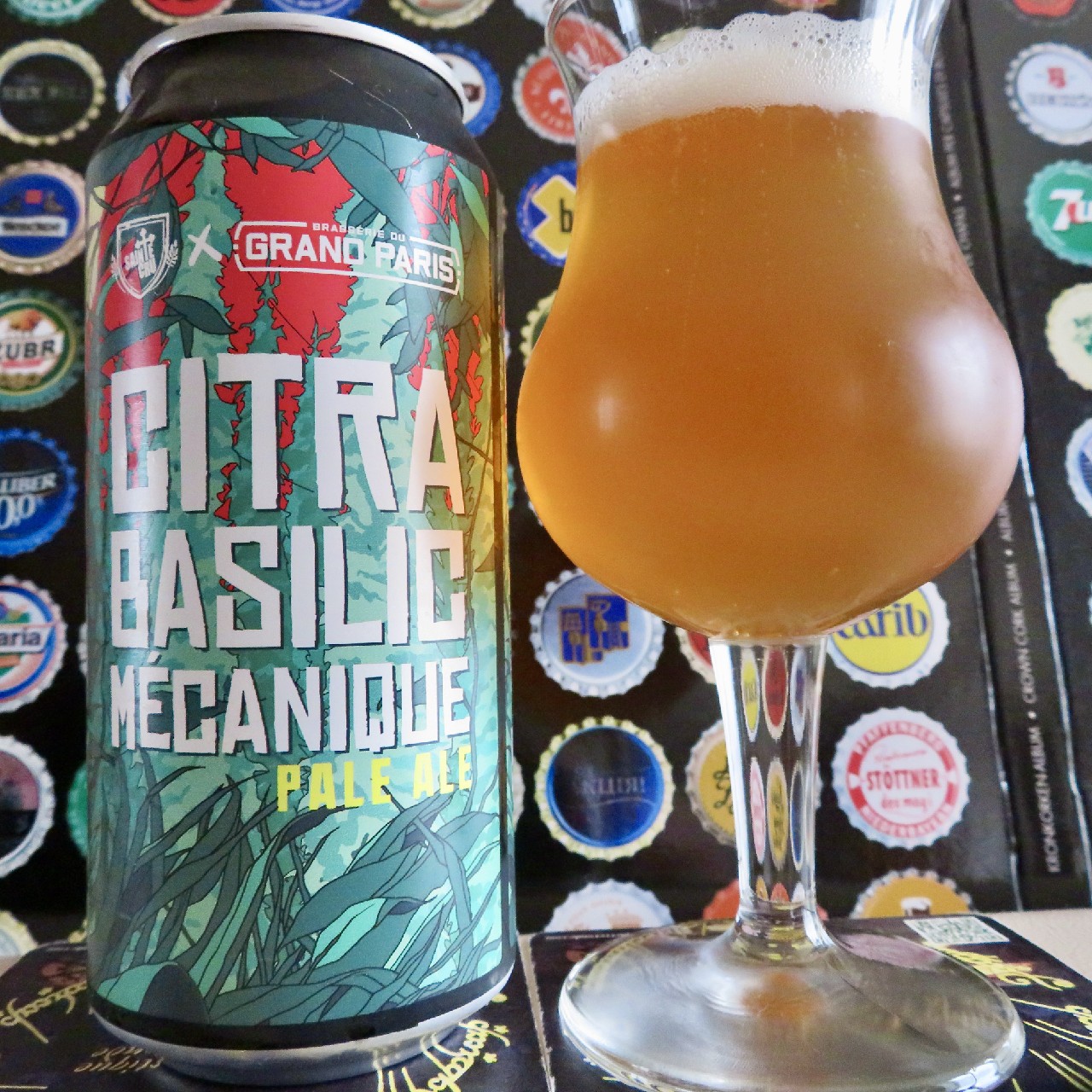 Citra Basilic Mécanique, France