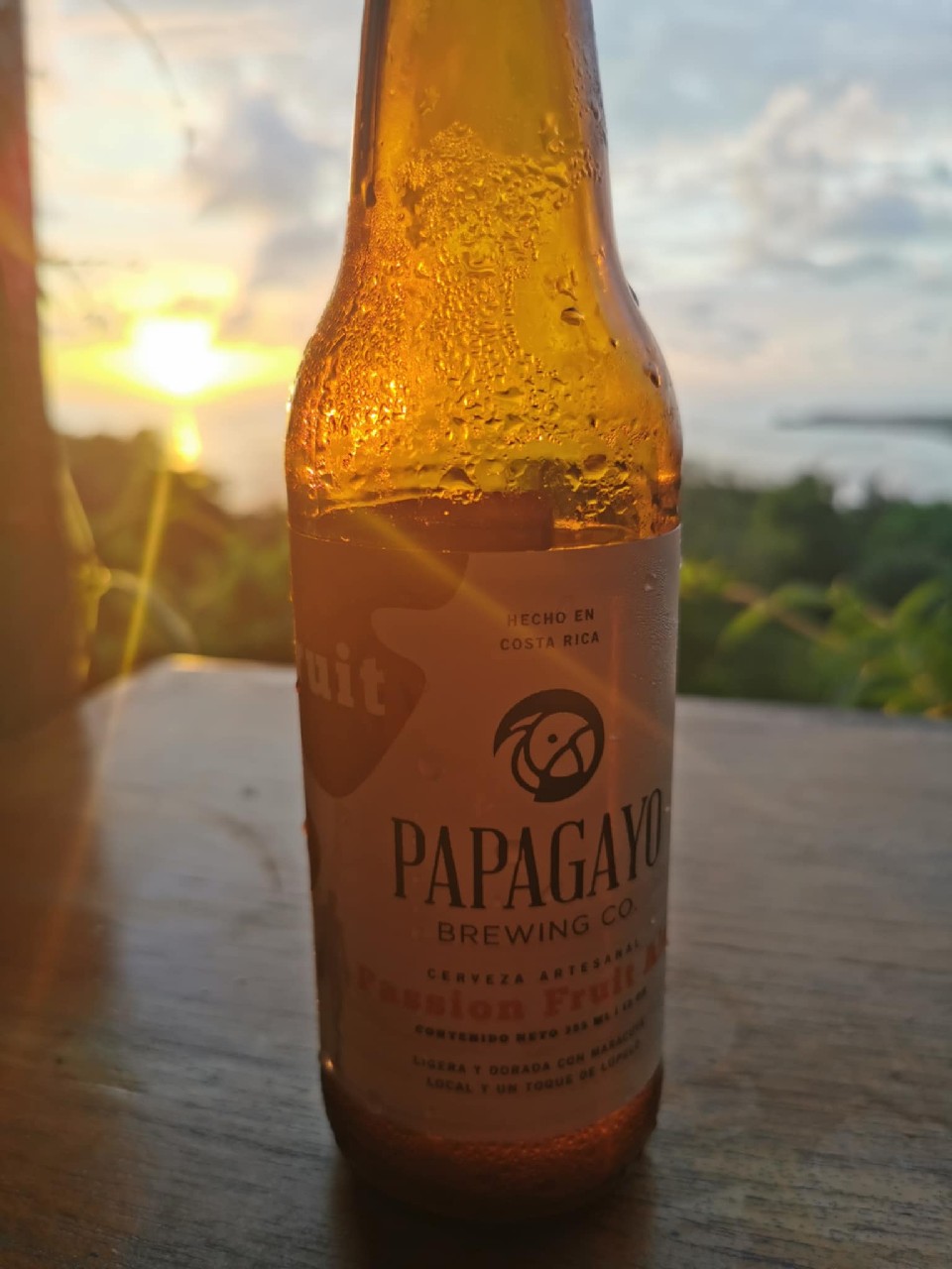 Passion Fruit Ale, Papagayo Brewing Co.