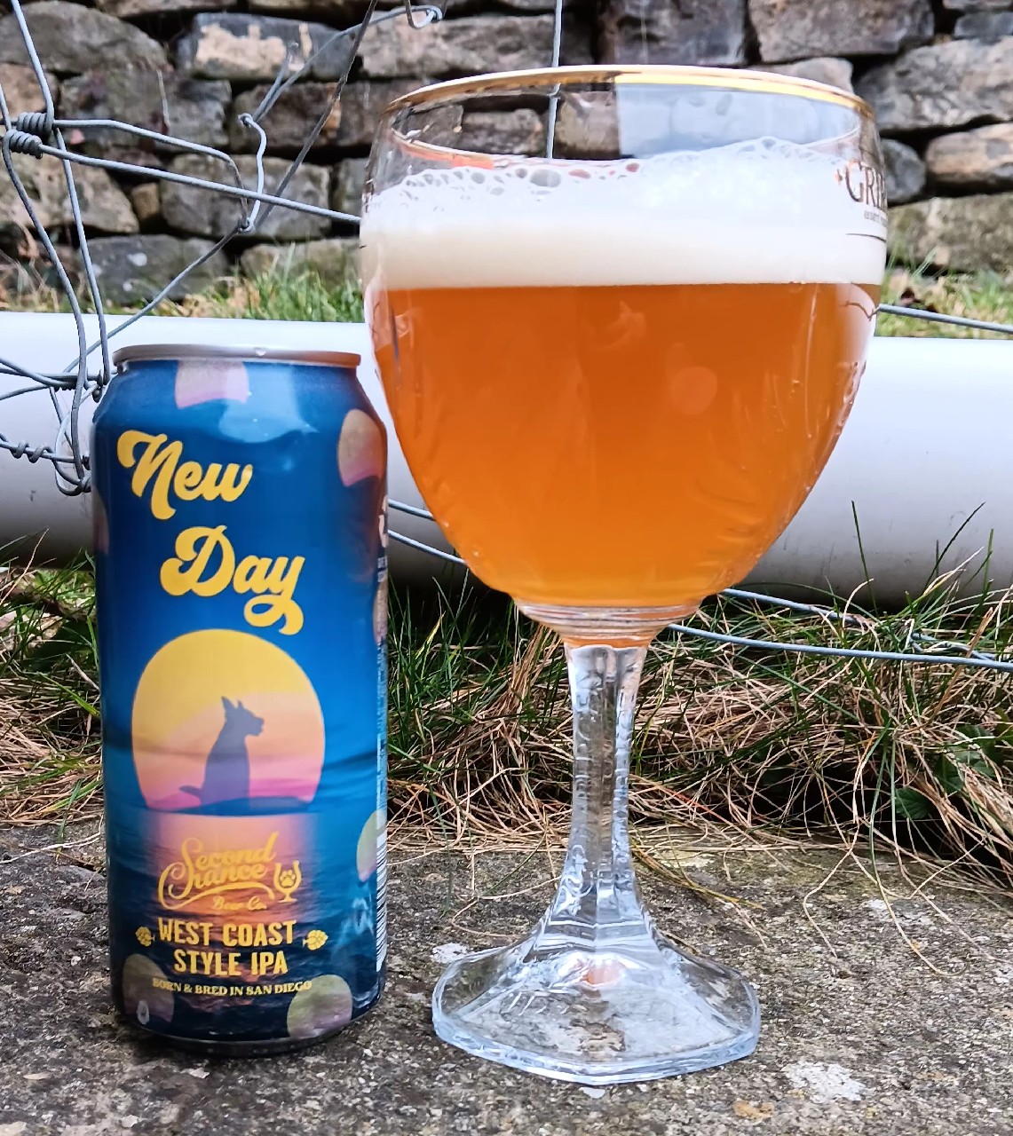 new day, Second Chance Beer Company