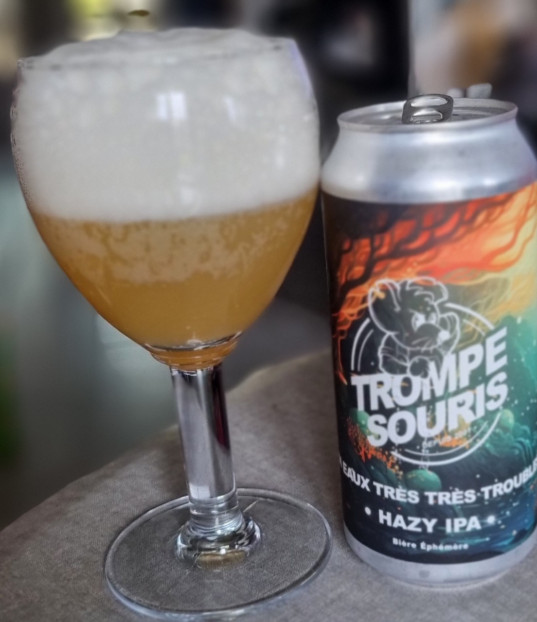 Trompe Souris En Eaux Très Très Troubles, France