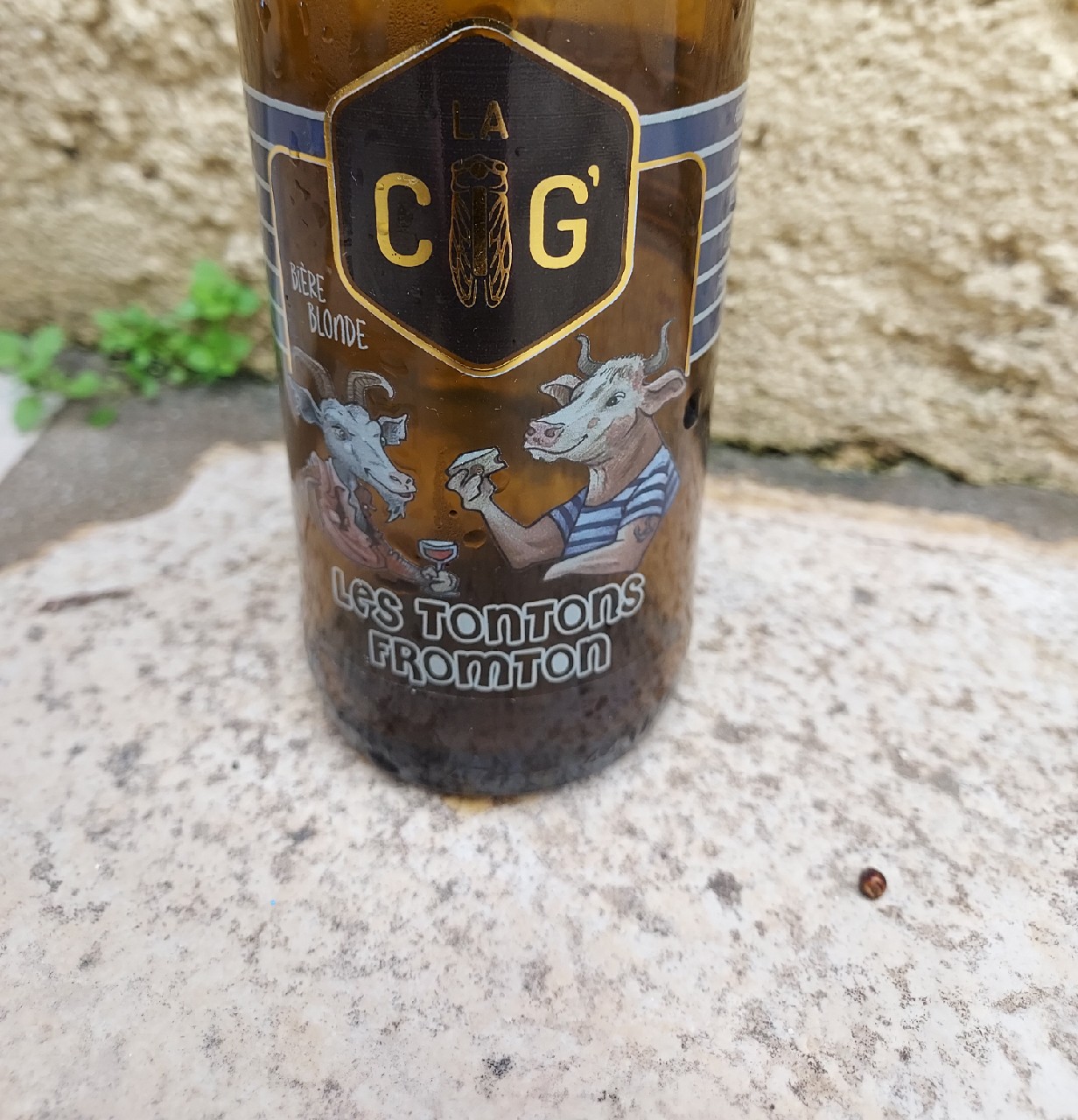 Les Tontons Fromtons, France