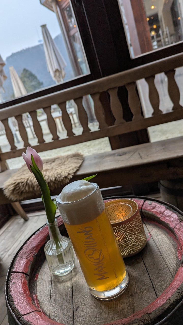 Maximilians Heller Bock, Germany