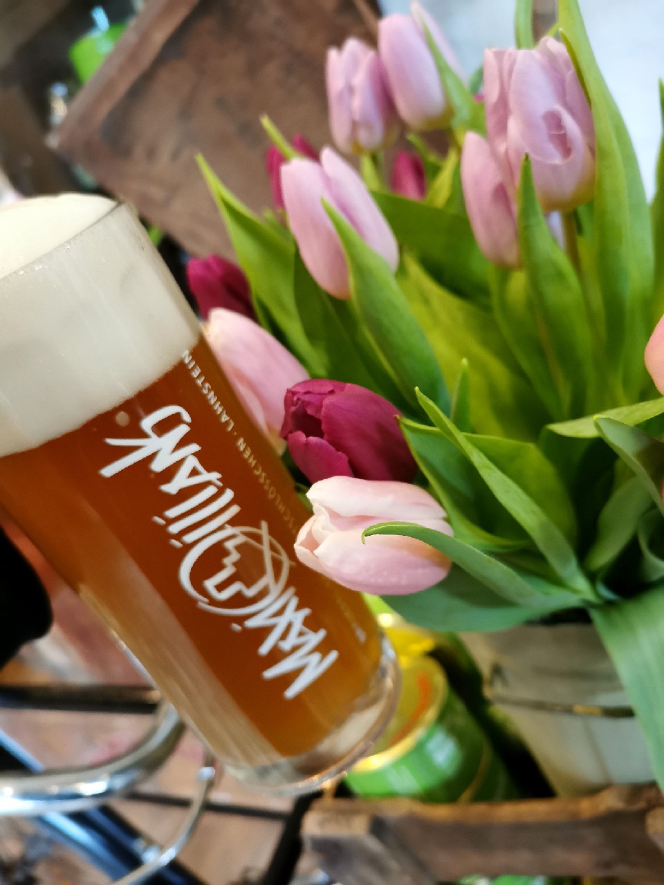 Maximilians Heller Bock, Germany