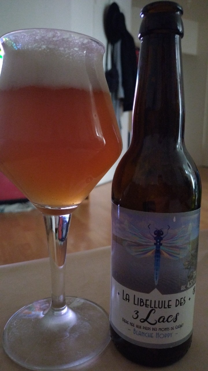 La Libellule Des 3 Lacs, France