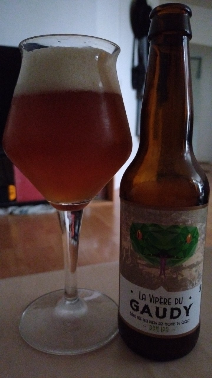 La Vipère Du Gaudy, France
