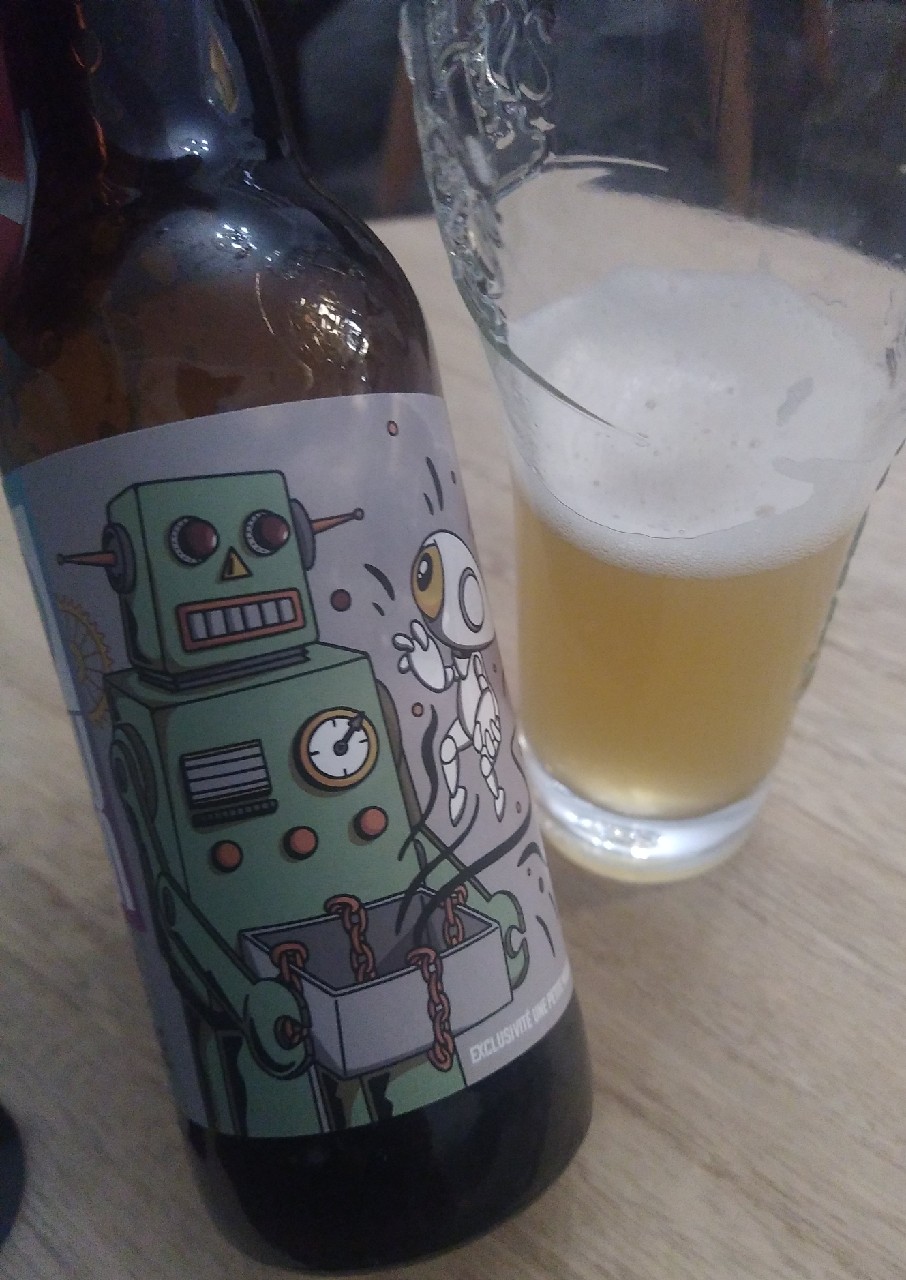 Future Robots, France