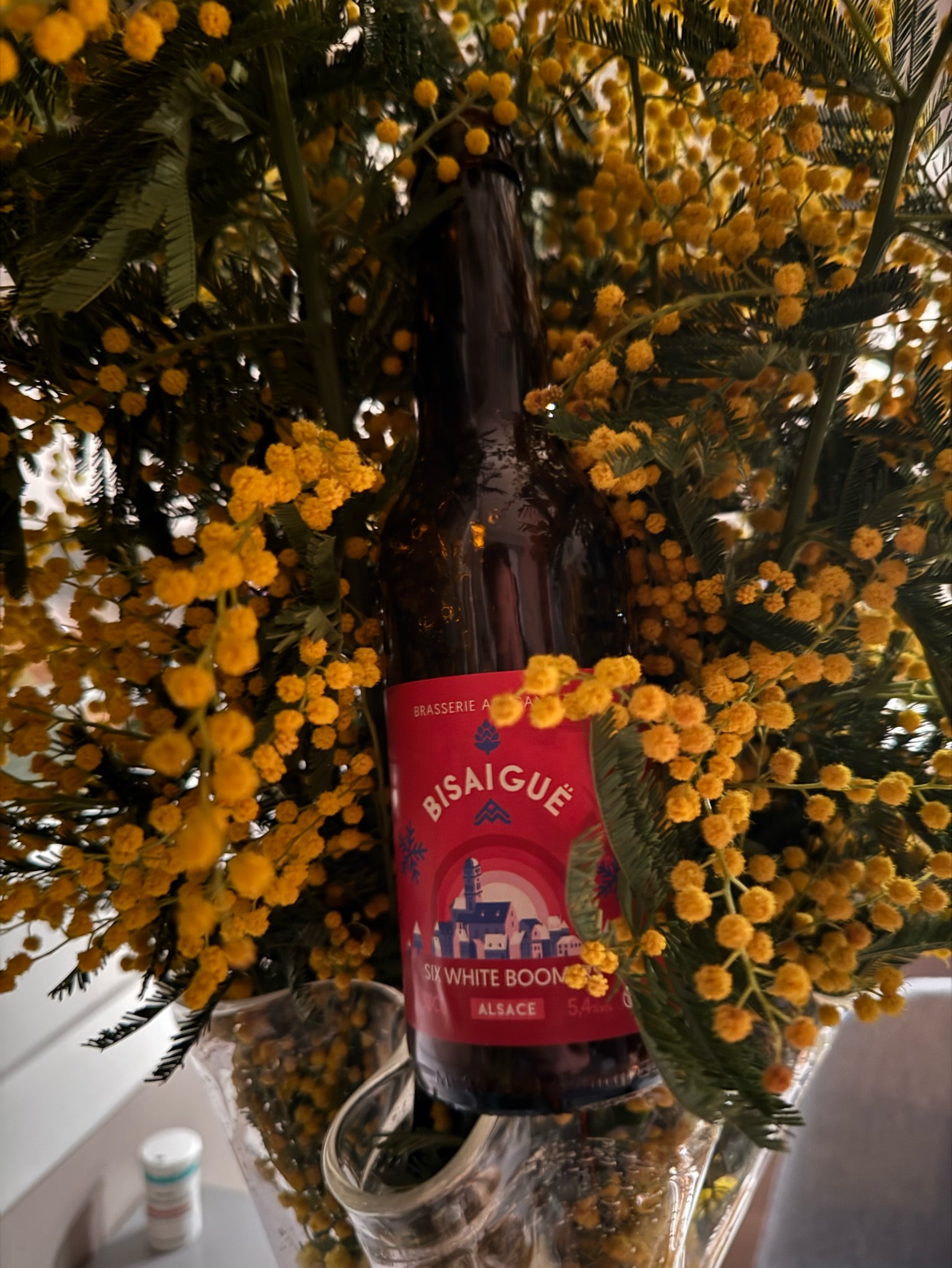 Six White Boomers, France