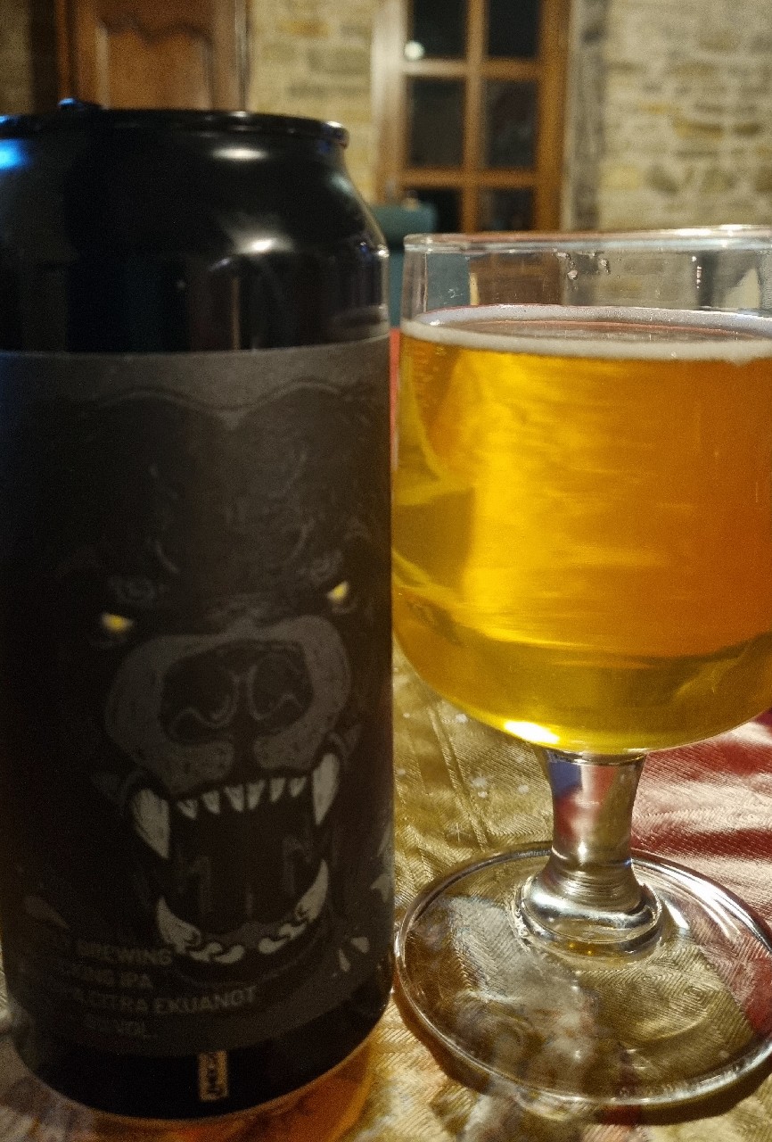 Big Fucking IPA, France