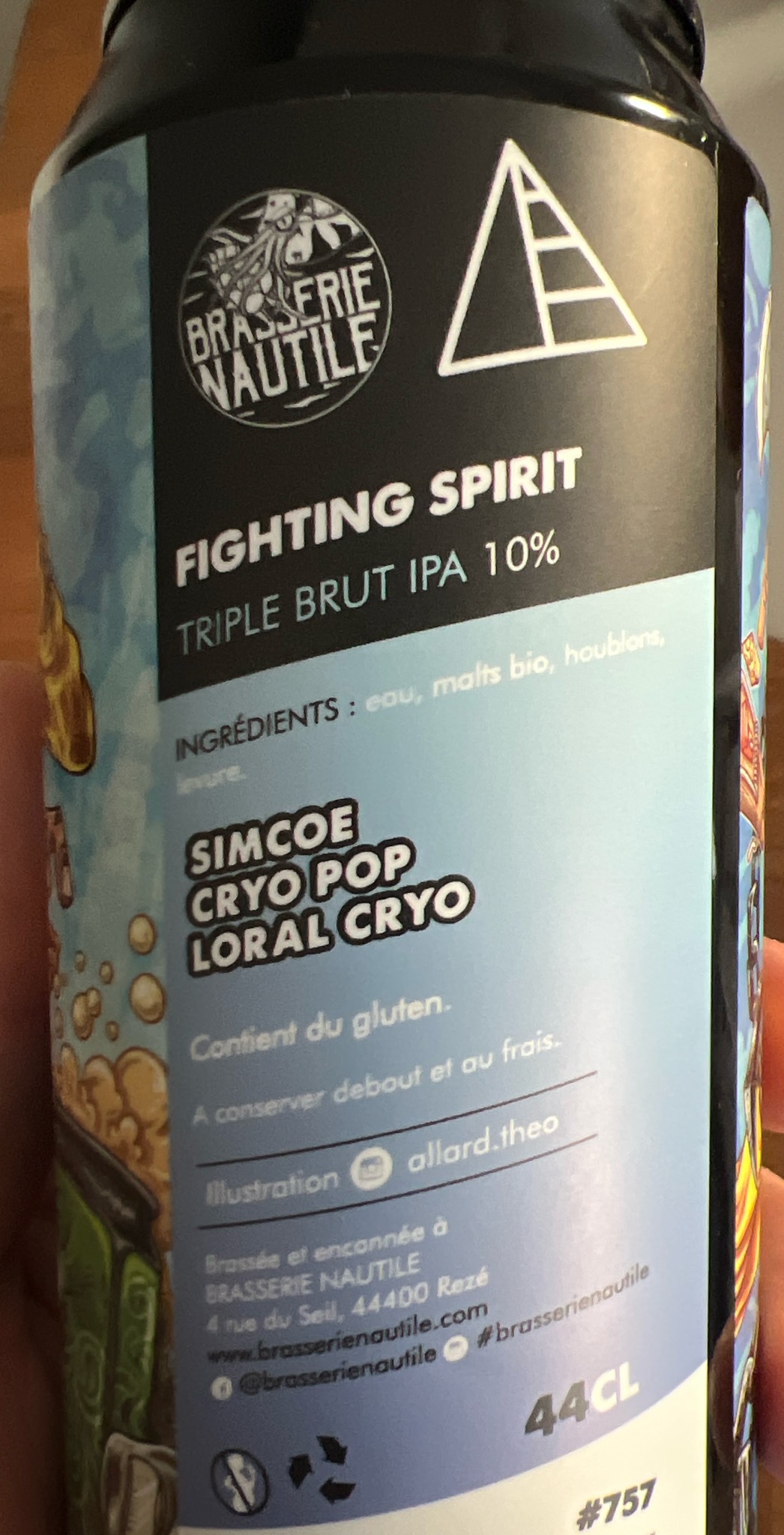 Fighting Spirit, France