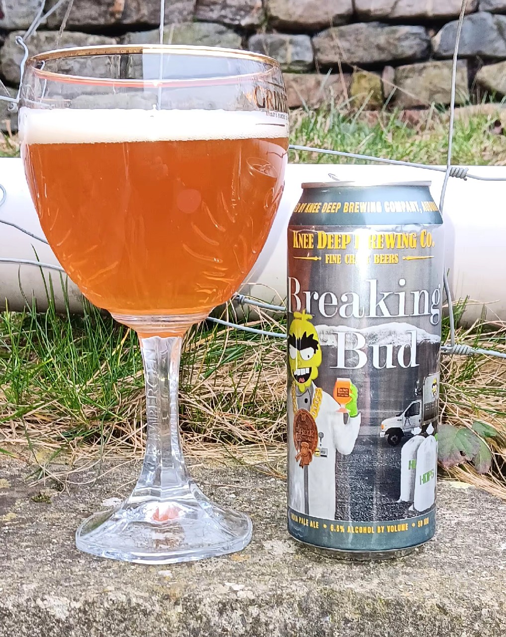 Breaking Bud, Knee Deep Brewing Company