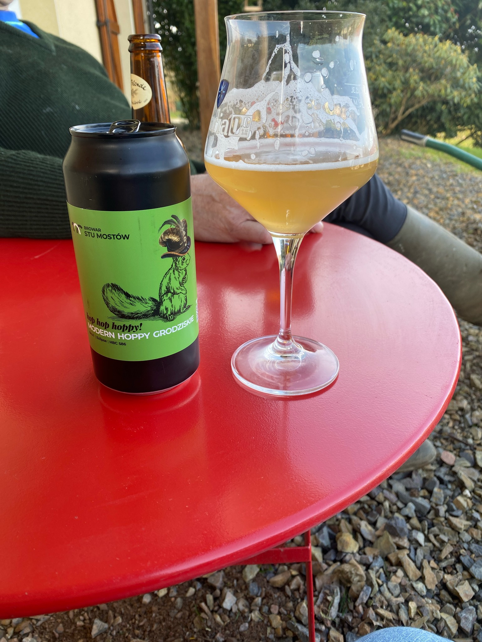 Modern Grodziskie, Poland