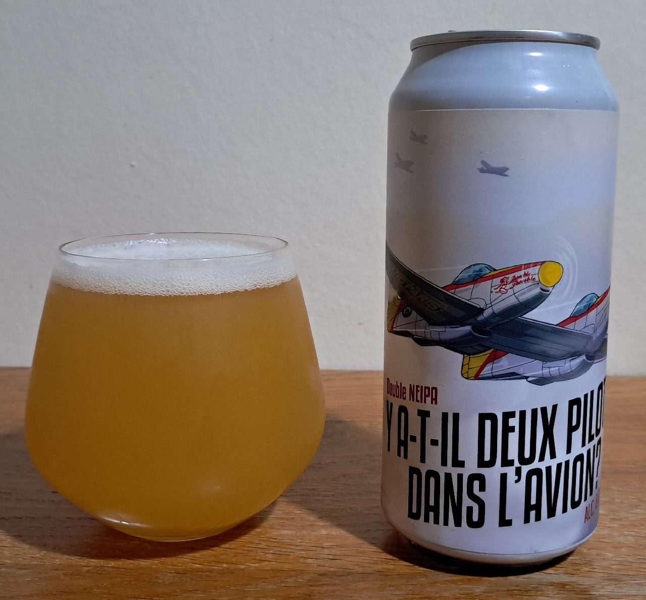 Y A-T-Il Deux Pilotes Dans L'Avion ?, France