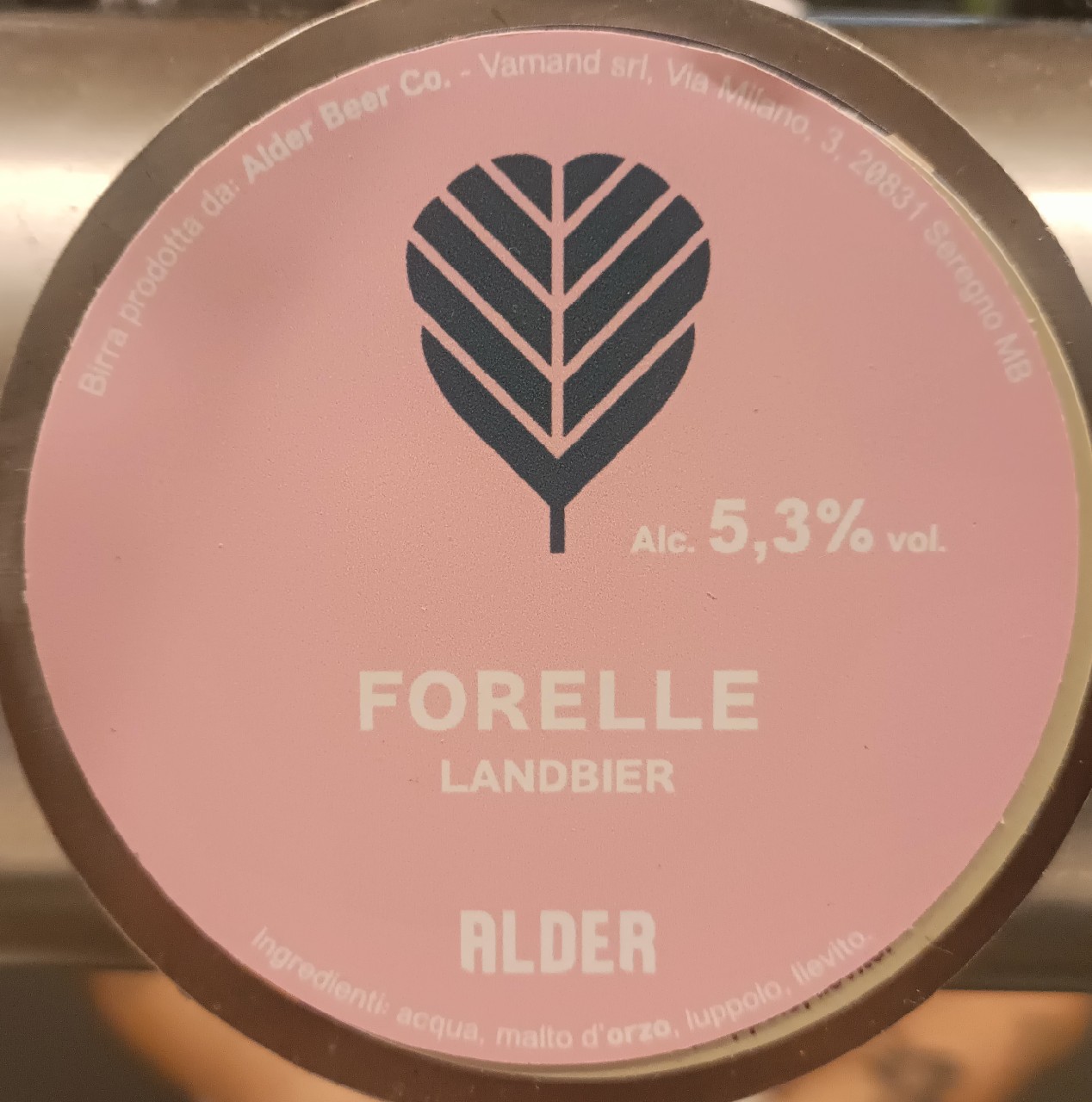 Forelle, Alder Beer Co.
