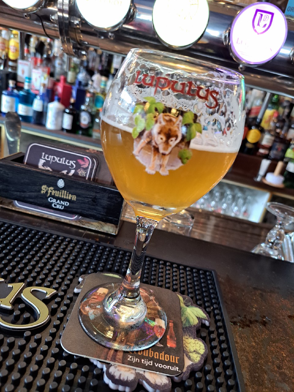 Lupulus Nelson, Belgium