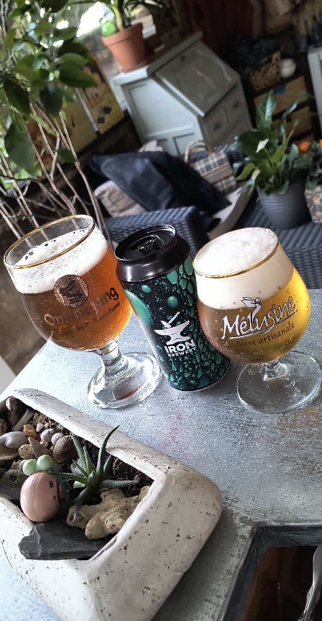 West coast ipa, France