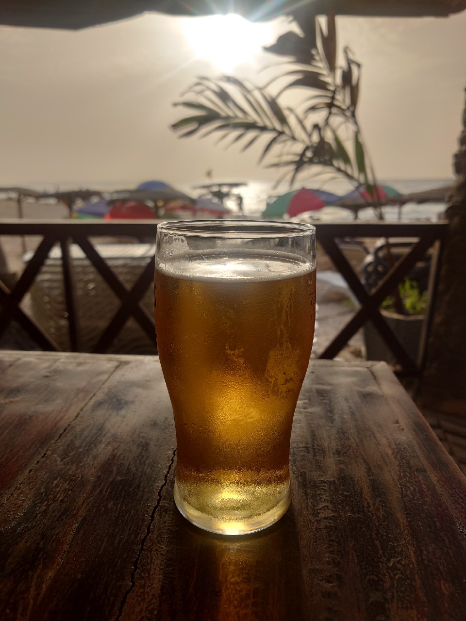 Goldfinch Premium Lager, Bell Bottling Company