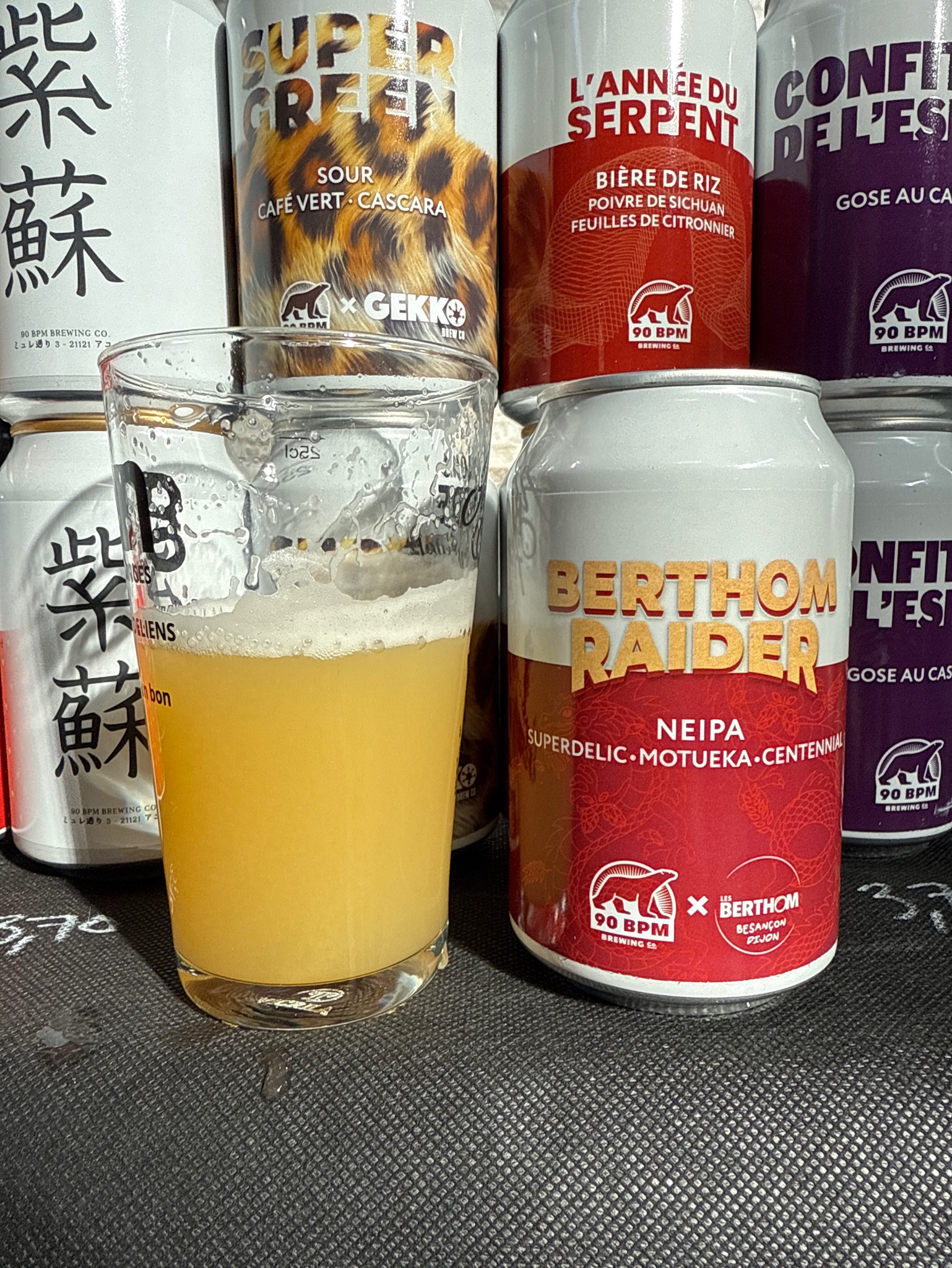 Berthom Raider, France