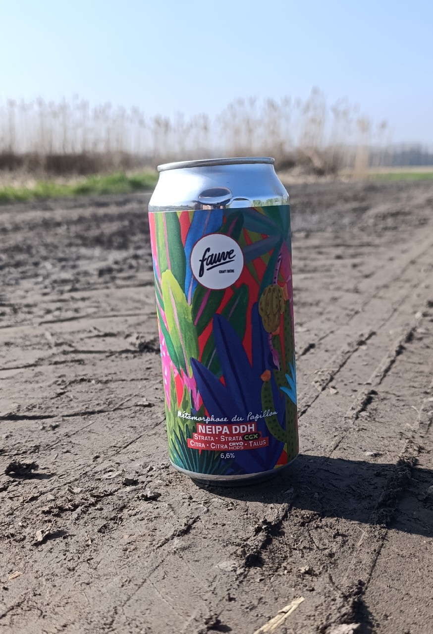 Métamorphose Du Papillon, France