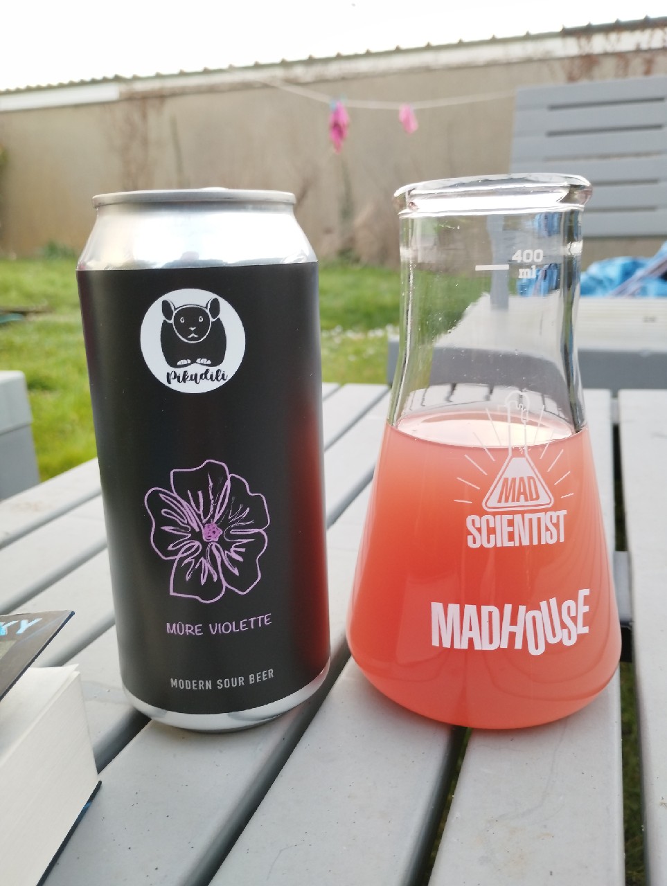 Mûre Violette, France